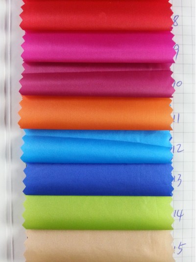 GZ-SGFA  20D尼龍圓孔有光 400T 4級環保染色  20400# 正面照